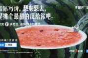 娱乐圈的吃瓜文案,揭秘明星们的“瓜田”秘闻